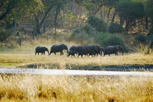 River Dance Lodge uitzicht over de rivier 2
